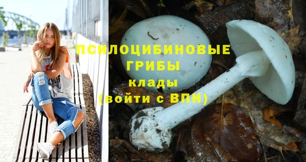 MESCALINE Алзамай