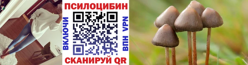 Псилоцибиновые грибы прущие грибы  MEGA зеркало  Курлово  как найти наркотики 